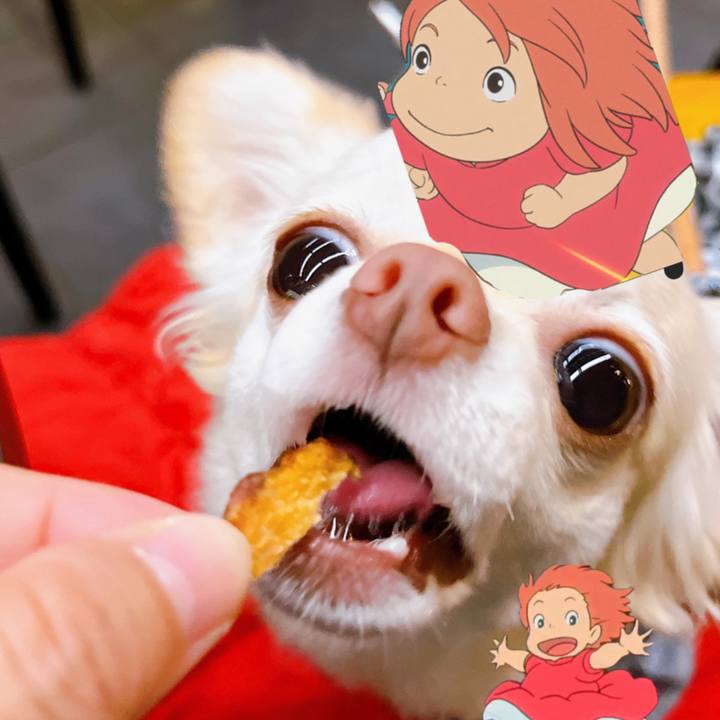 0f8709de 062c 42d8 a912 983118f56d3f 1694517710952