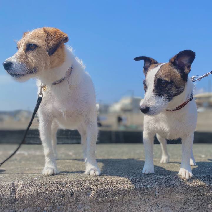 0f8715a8 e998 4f16 ad5b 6d6df72e2ec8 1617885029236