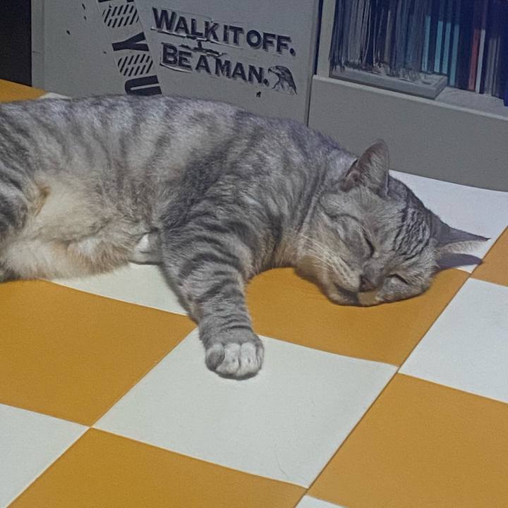 0f87430e a6c1 44bc 9be5 c768ab758ebe 1726659247186