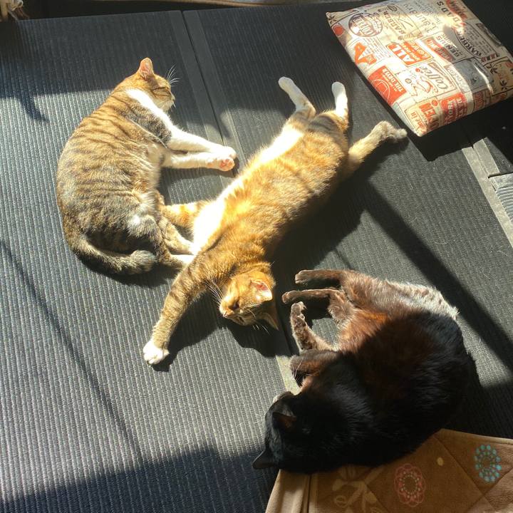 0f880f9c 82a0 469c 8433 a74103b3696c 1580520910443