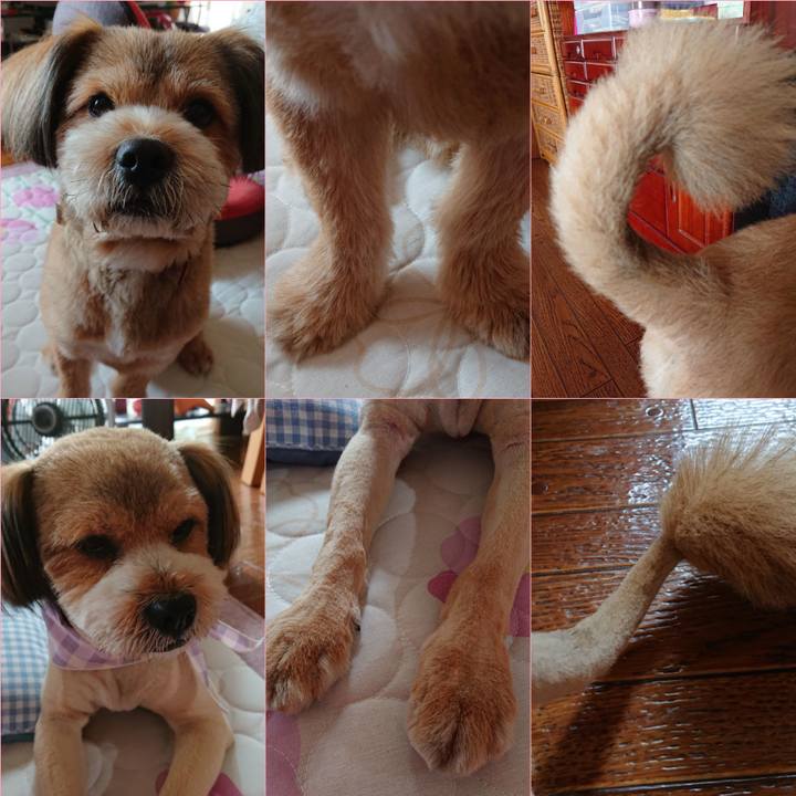 0f882431 55e9 4392 96d4 b51032618891 1559544449589