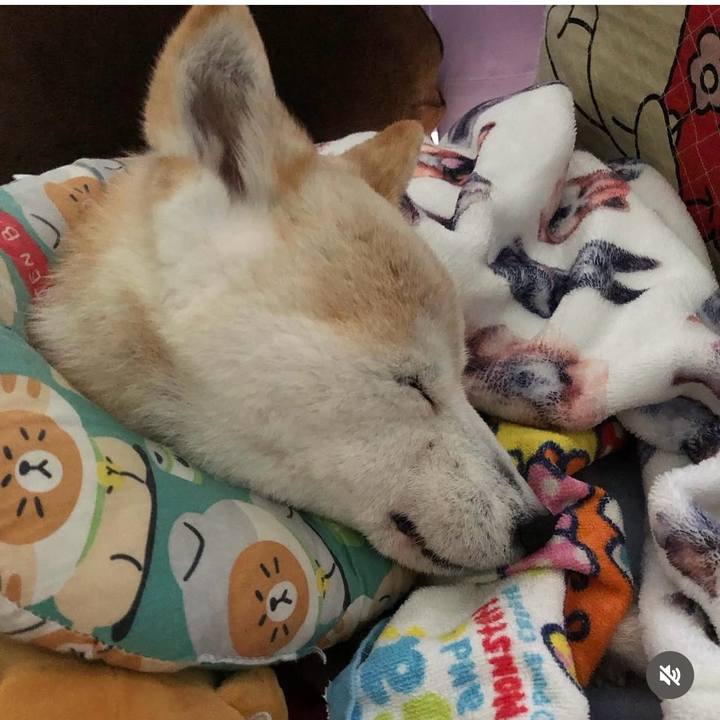 0f884228 f30e 491e 932e 94e11bd0244f 1746828999622