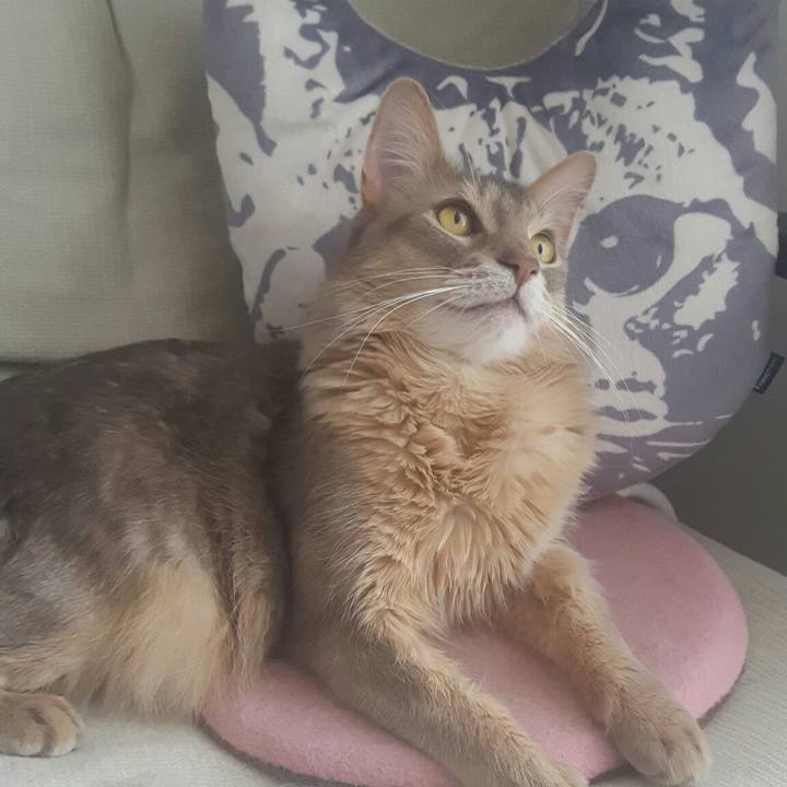 0f88494c 30aa 4175 b0c9 04a2afda8e80 1556427460987