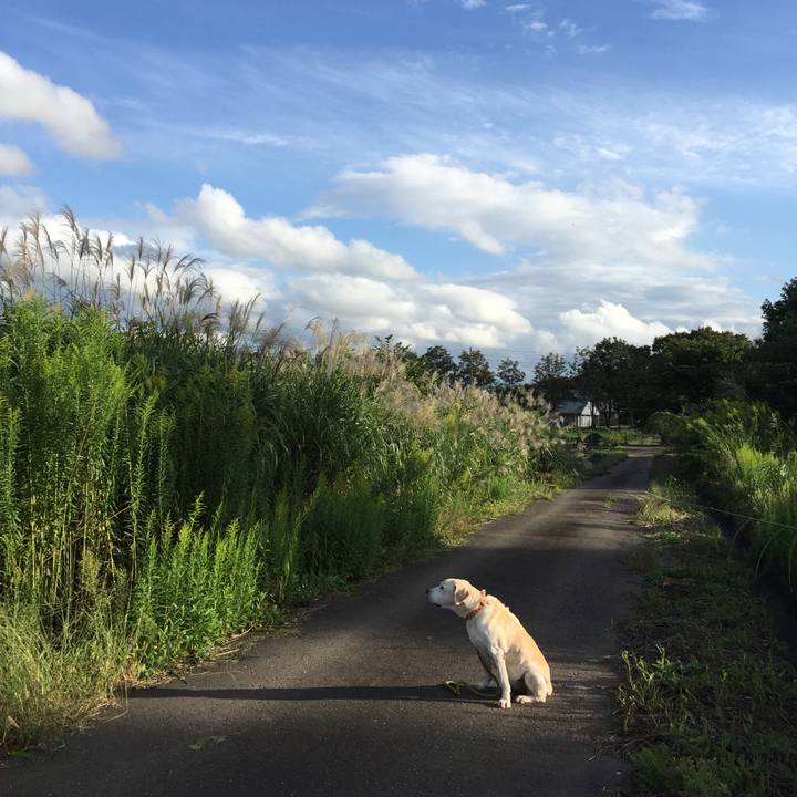 0f887c3d d4b3 4c2b 8457 cb235306fafa 1566346374530