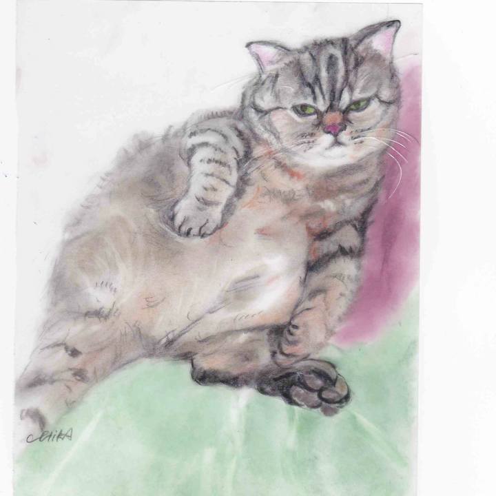 0f8884f8 3fe1 4e3b b2d4 d3fd84b1fdb6 1599239292777