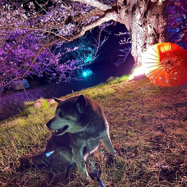 0f888eca 50f6 4ea0 b8e2 a5d5e43ab1dc 1744245652993