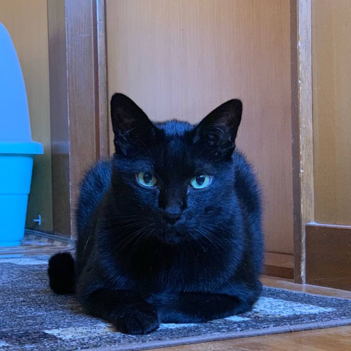 0f88980a 8beb 4fe7 ade2 8a8037654bd1 1538270532612