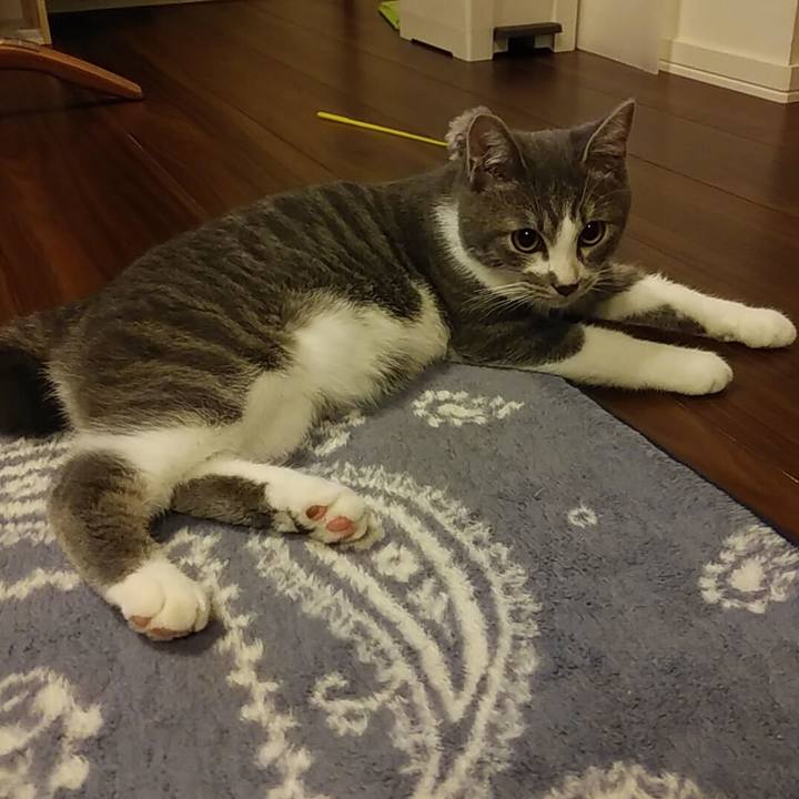 0f88a76d 3501 4eb2 abcf ab69379709e3 1570712680554