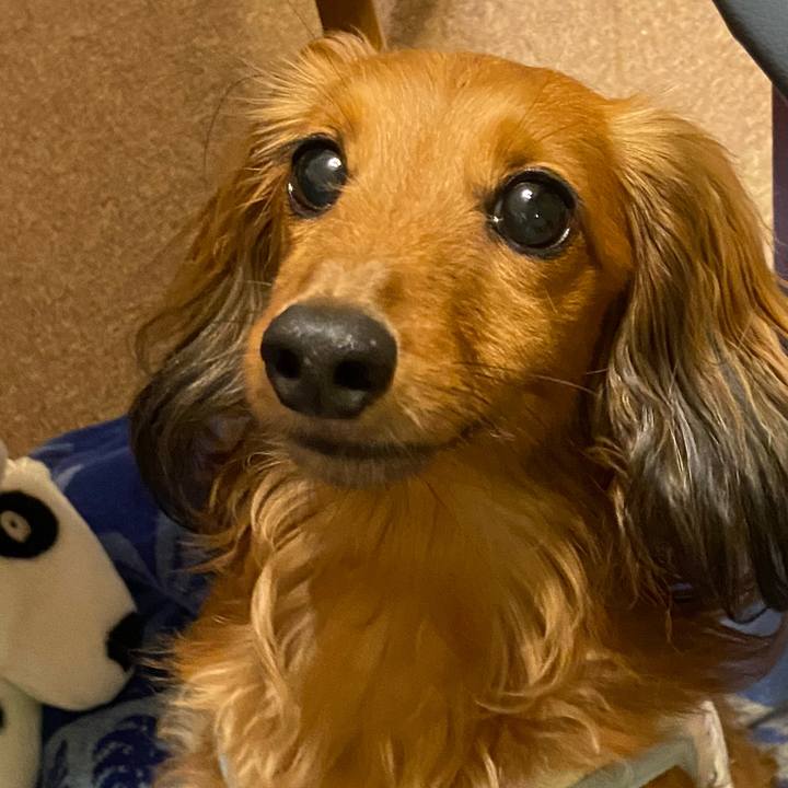 0f88eaa0 bae4 4c9a 88c0 05adaea52856 1656334800231