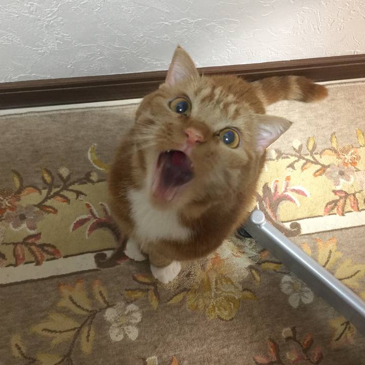 0f8915fd 3b74 4483 b33a d05314a97ead 1556031375410