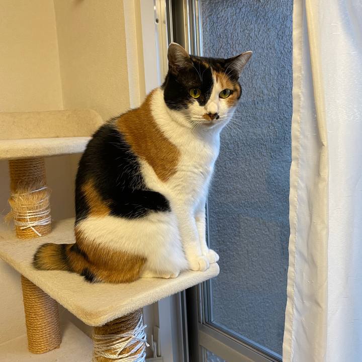 0f89647c f8dd 4cdd b032 0f1dc00568fd 1639056215724