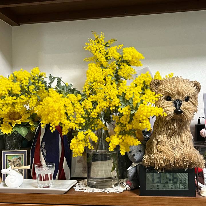 0f898777 aae1 42ef 9a55 9df88f1532da 1709873941841