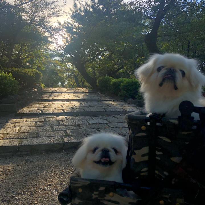 0f898848 0f1e 4764 aef6 e6c1965b3013 1600035931992