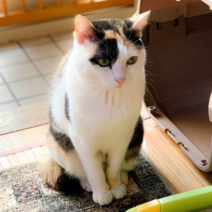 0f89b9bd 83eb 493d b247 c7673fa514b3 1592705990123