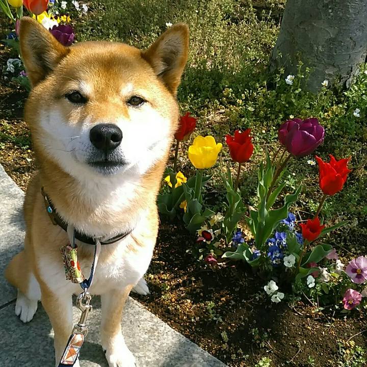 0f89ebf6 9cb6 49e9 b584 4d0da4f724bf 1555295604771