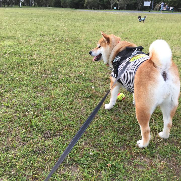 0f89f8d4 f61e 471c 8a93 06e151e99626 1528448625351