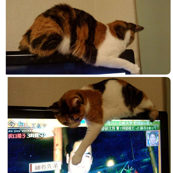 0f89fe7b a467 4b09 929b 60f348a90317 1570019742925