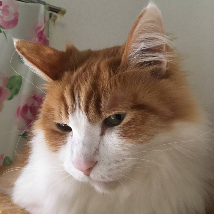 0f8a4eee aafd 44cf 93d5 b9d2a3f3502a 1619826377038