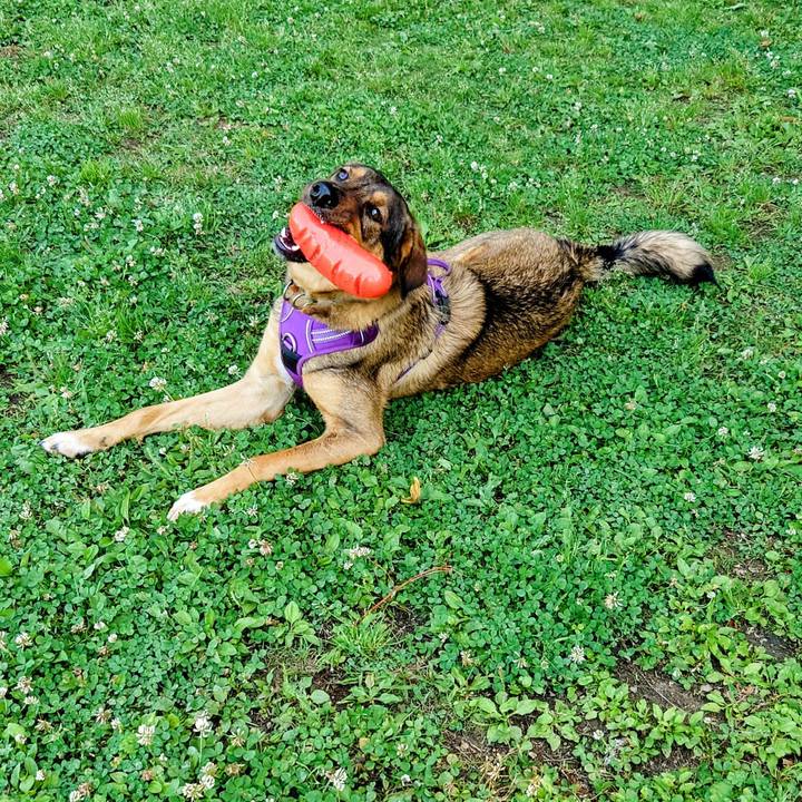 0f8a7b30 d35a 4003 8808 57c3a8fb64c6 1715994400373