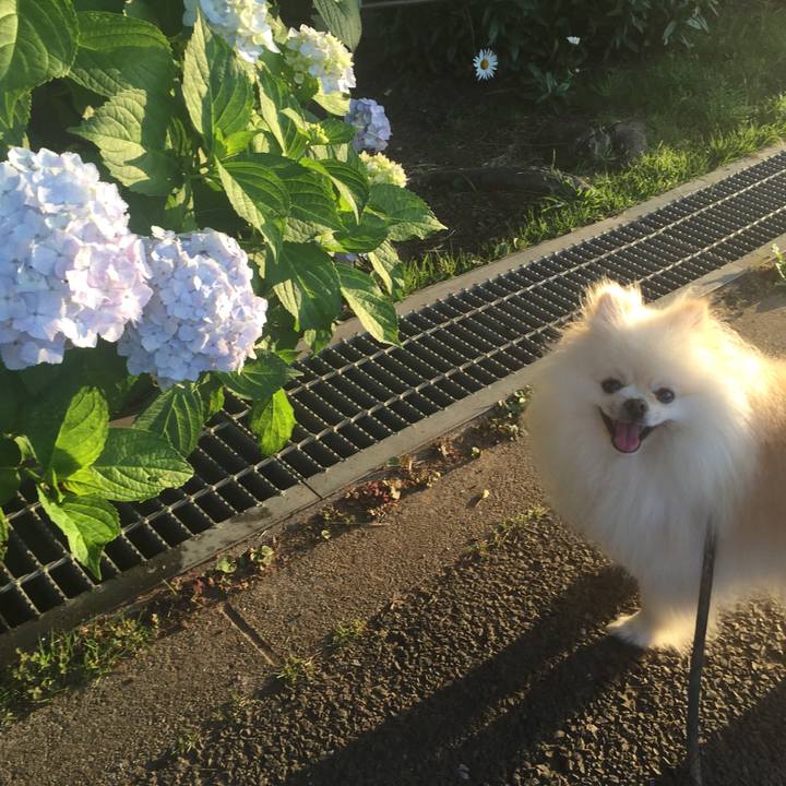 0f8a7d9d 2209 41b9 bd3b 2c34819b7714 1528144154750