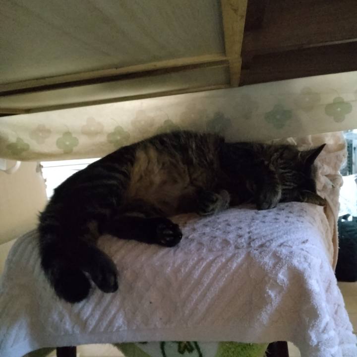 0f8a817f 6851 490b ad51 fdc87fa1ea4a 1665179600475