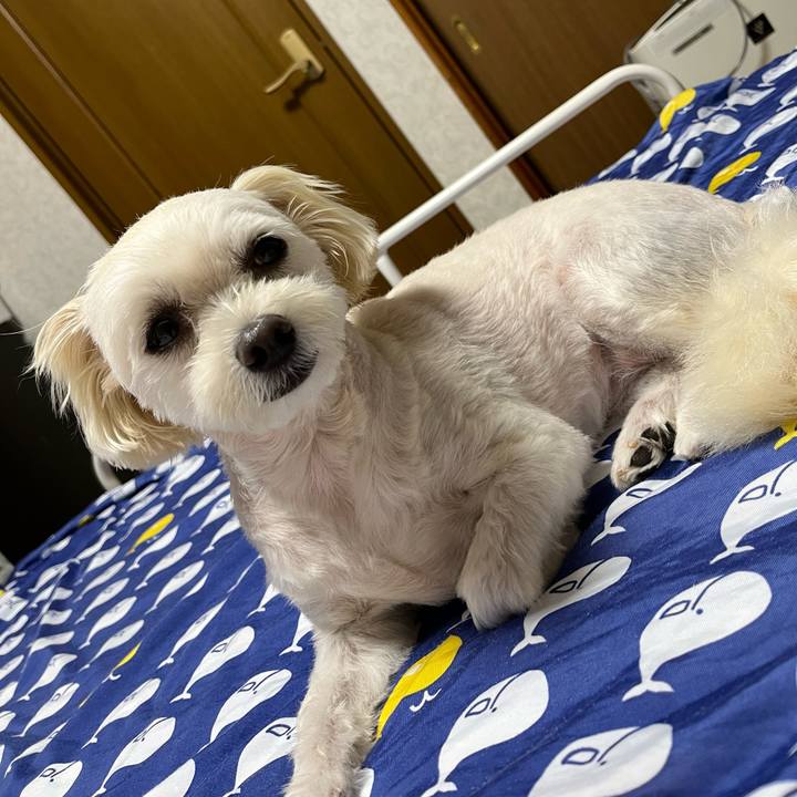 0f8ab5e3 055c 4fcc 8387 e4ffec30d7b6 1662124492888