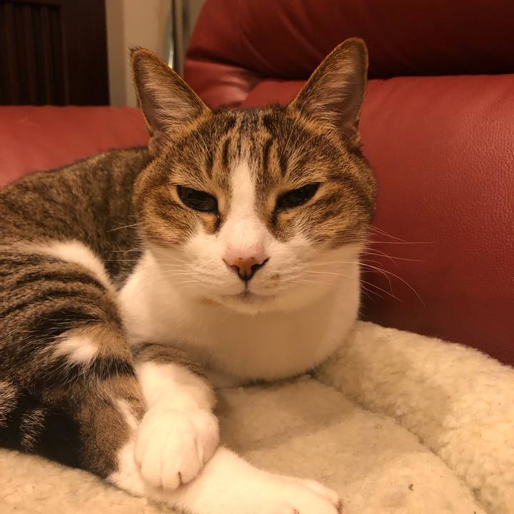 0f8ad0a2 be53 4ff7 abc4 39db781dd9eb 1547522293897