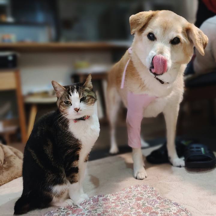 0f8ad7f0 79e4 4392 a516 58a79d9f6494 1647947694016