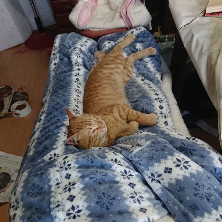 0f8af0bf 71c7 441a 8d7f b6004efb5111 1646196225922