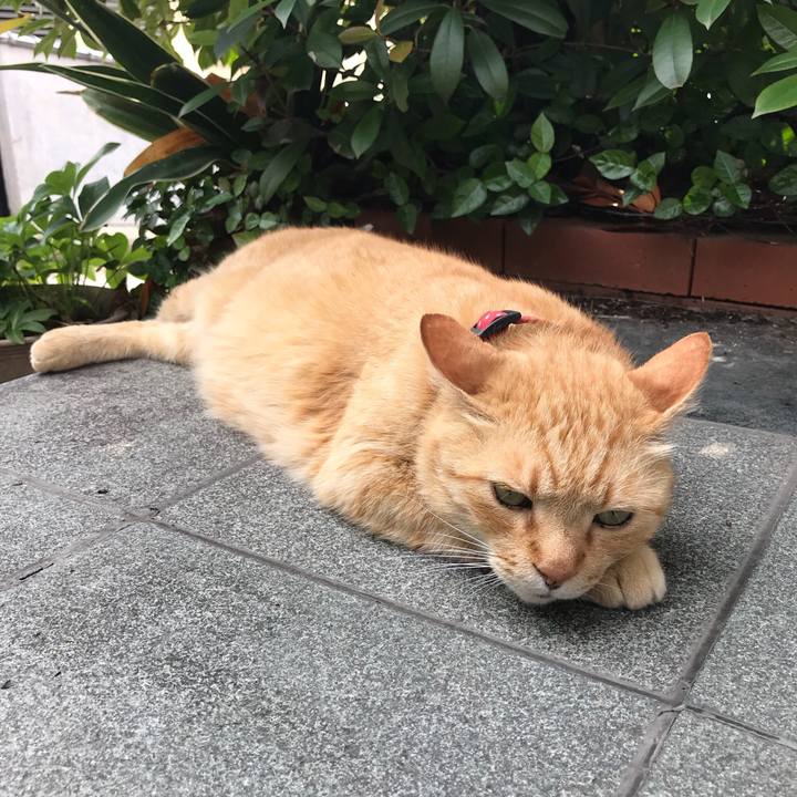 0f8b0962 d041 4ab2 9c9b 8e21c136e116 1528449892300