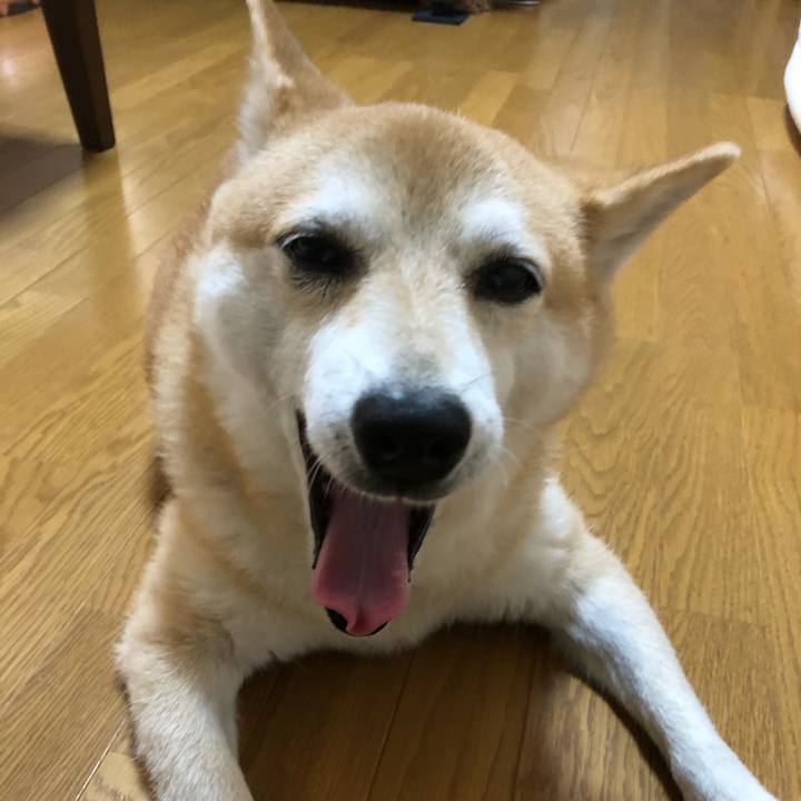 0f8b8bc7 0129 4922 a5a2 059c7eea2312 1600134352853