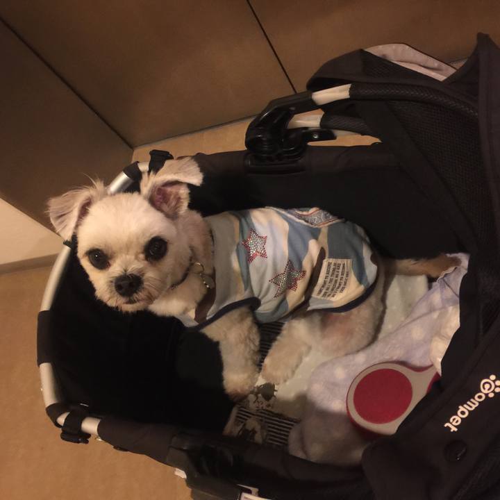 0f8b9102 f59e 4a3c 98d5 23d818ca22ab 1537701010934