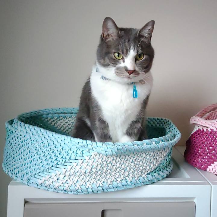 0f8b9477 8641 4f07 95be 6ce6531b43dd 1673837547295