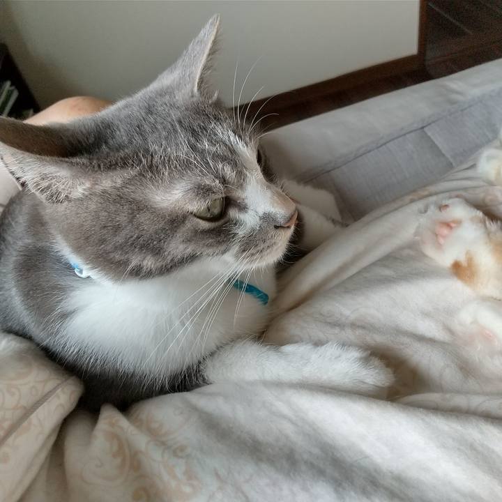 0f8b958f 3ff4 4b8a a15a 7646dc137065 1621723947099