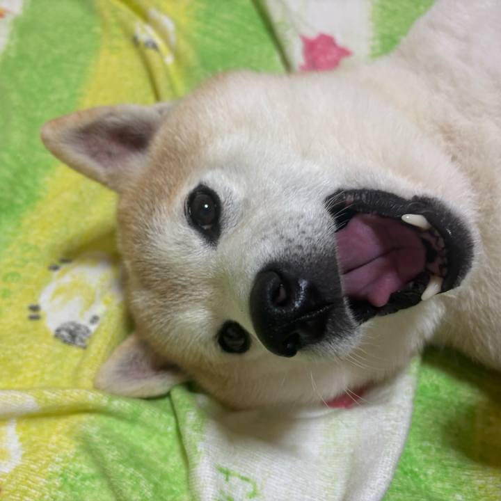 0f8b97fb 01d2 460d bf8e a909455be853 1745875535498