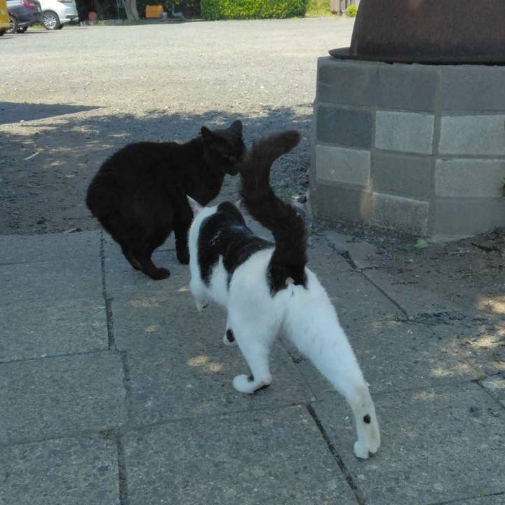 0f8ba8c8 a9d0 4c7c a94c 2286187ebd66 1718347176967