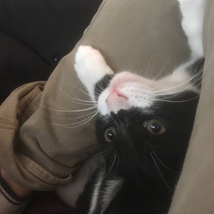 0f8ba9d6 82b4 4bf9 8072 cc846be9eb28 1508382117275