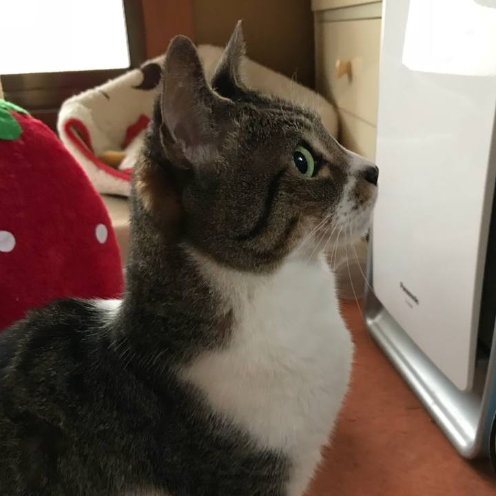 0f8bbf2b 298e 402d a551 5dddd4db0d8e 1536802220590