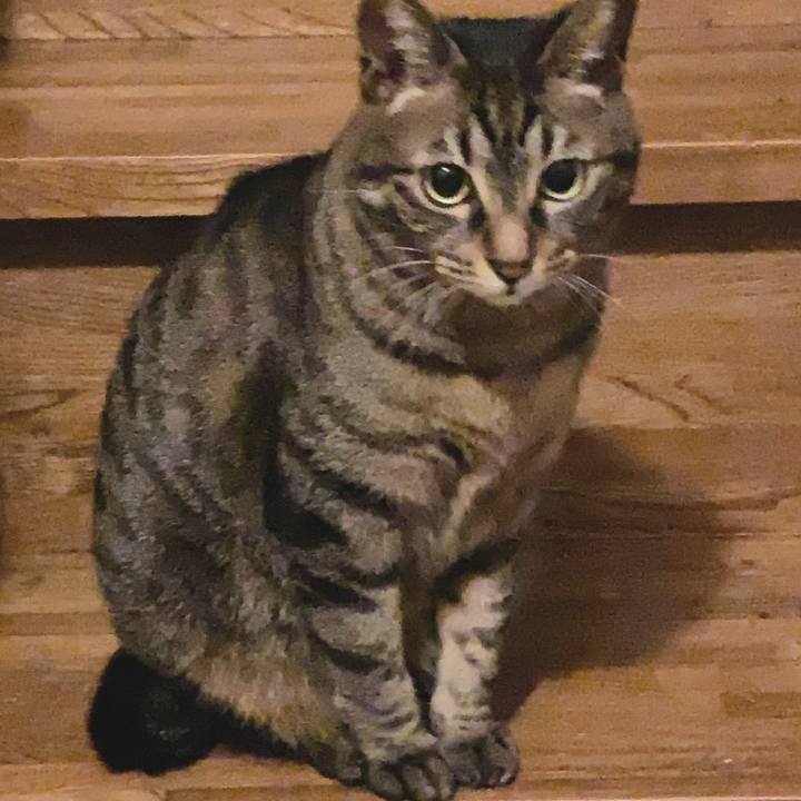 0f8bc8b8 ad09 4cbc 9157 a5ea3f7ee0a1 1589978169621