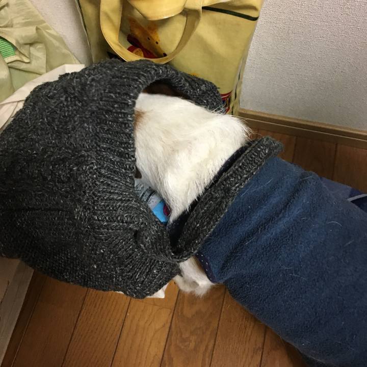 0f8bd0d6 ea67 4905 8ceb 298de8496d39 1581635083779