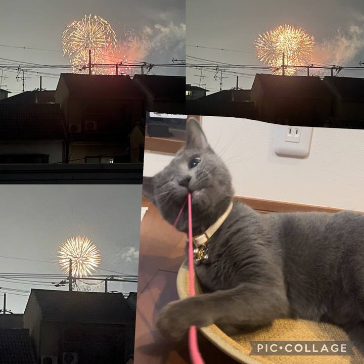 0f8be3bc 9be3 4d9d a13d 47b0badb49d8 1722941680068