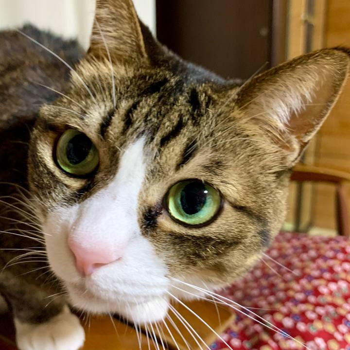 0f8be7d5 da9a 44d0 9333 e0ddf536800d 1610804401297