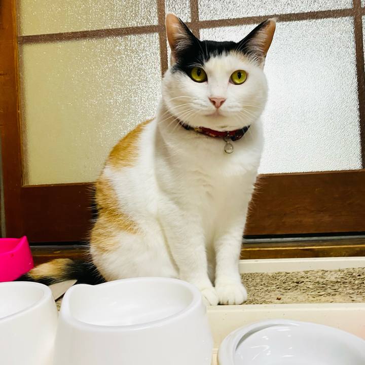 0f8bec5f 79af 4287 9dab 75d58a4b0f8f 1688461336319