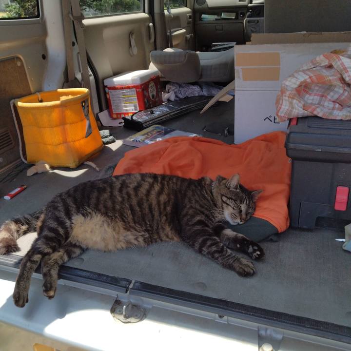 0f8c2ae5 670b 4b49 9fed 6948dbc1ebfa 1687146083487