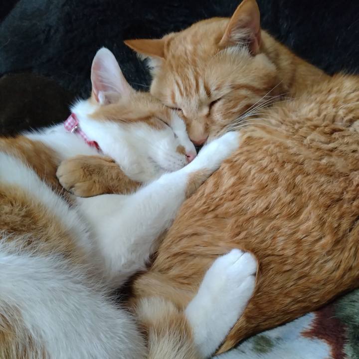 0f8c5d91 efa5 4444 a797 6a5f21f3f447 1746604000475