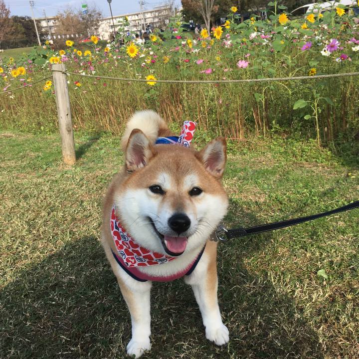 0f8c73c7 4280 40f7 808d c16137bddda3 1541928240758