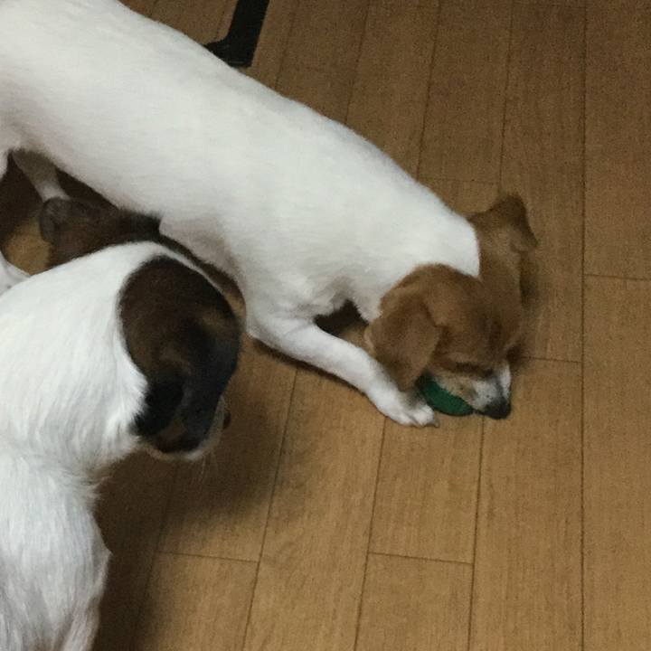 0f8c930a b64d 4e16 a162 1bb810c88021 1544351117294