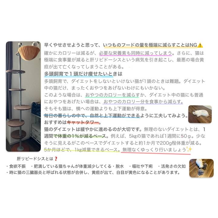 0f8cd828 53c7 49fe bae0 b504569acd37 1736580486162