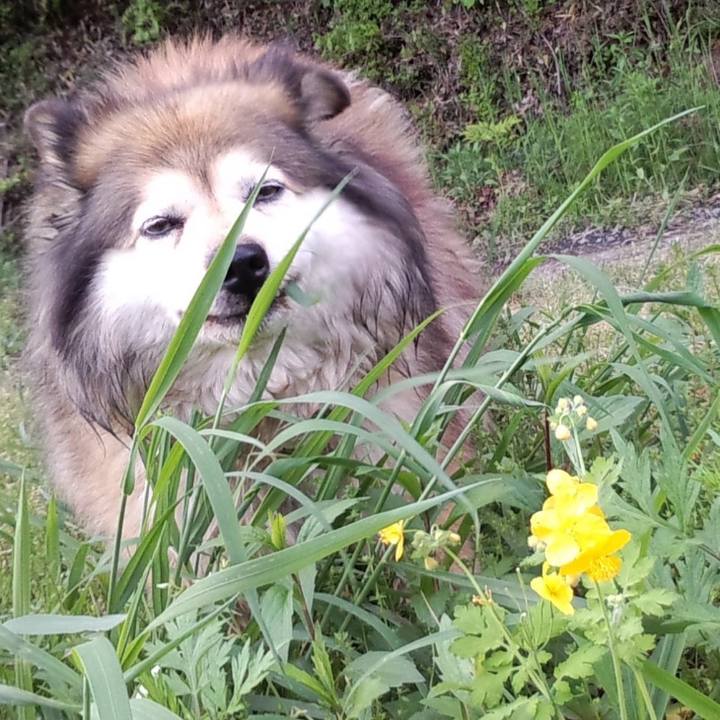 0f8ce7d6 e1af 48d5 bbb2 0fb434a62359 1582160908070