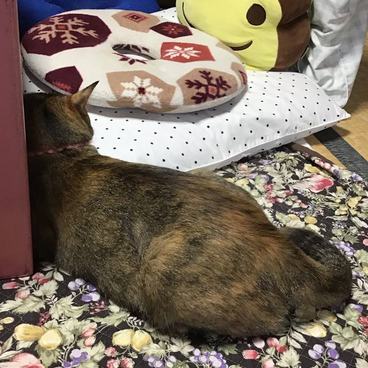 0f8cf2a7 44eb 4096 ac5b f948bf3f7e25 1593727584912